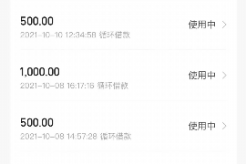 平阴专业讨债公司，追讨消失的老赖