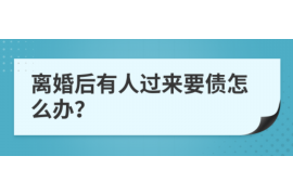平阴平阴的要账公司在催收过程中的策略和技巧有哪些？